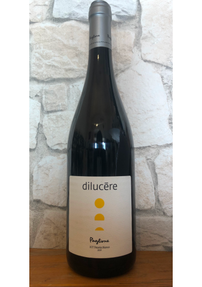 Dilucère - Daunia Bianco igt 2021 - Agricola Paglione